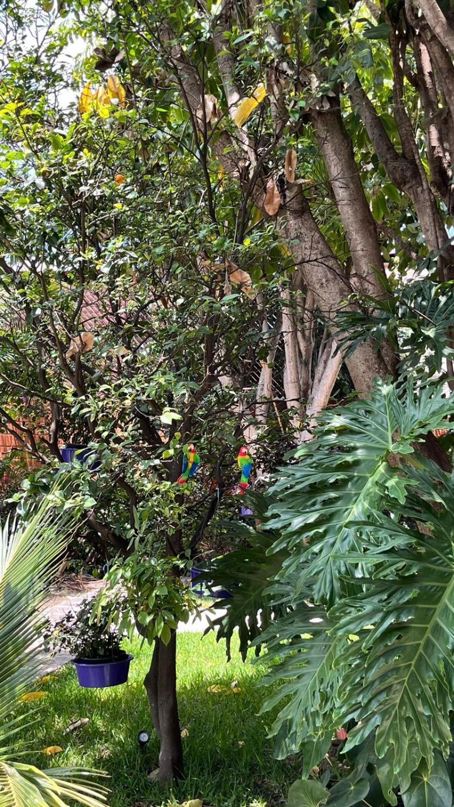 Appartement Casa Calnacazco à Tepoztlán Extérieur photo